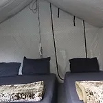 All Night Camping Manali