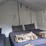 All Night Camping Manali